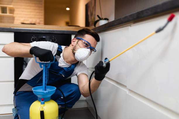 Best Pest Control Near Me  in Alamo, TX