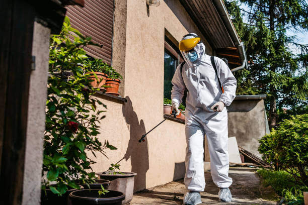 Best Pest Control Near Me in Alamo, TX