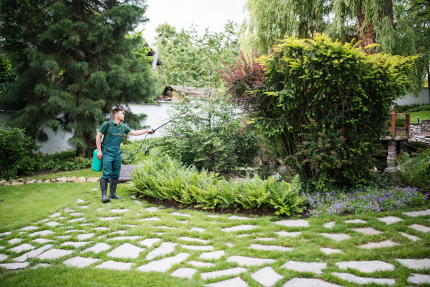 Best Affordable Pest Control Services  in Alamo, TX