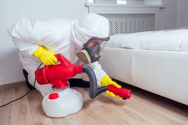 Best Bed Bug Extermination  in Alamo, TX